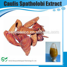 Caulis Spatholobi Extract,Caulis Spatholobi P.E,Caulis Spatholobi Extract Powder